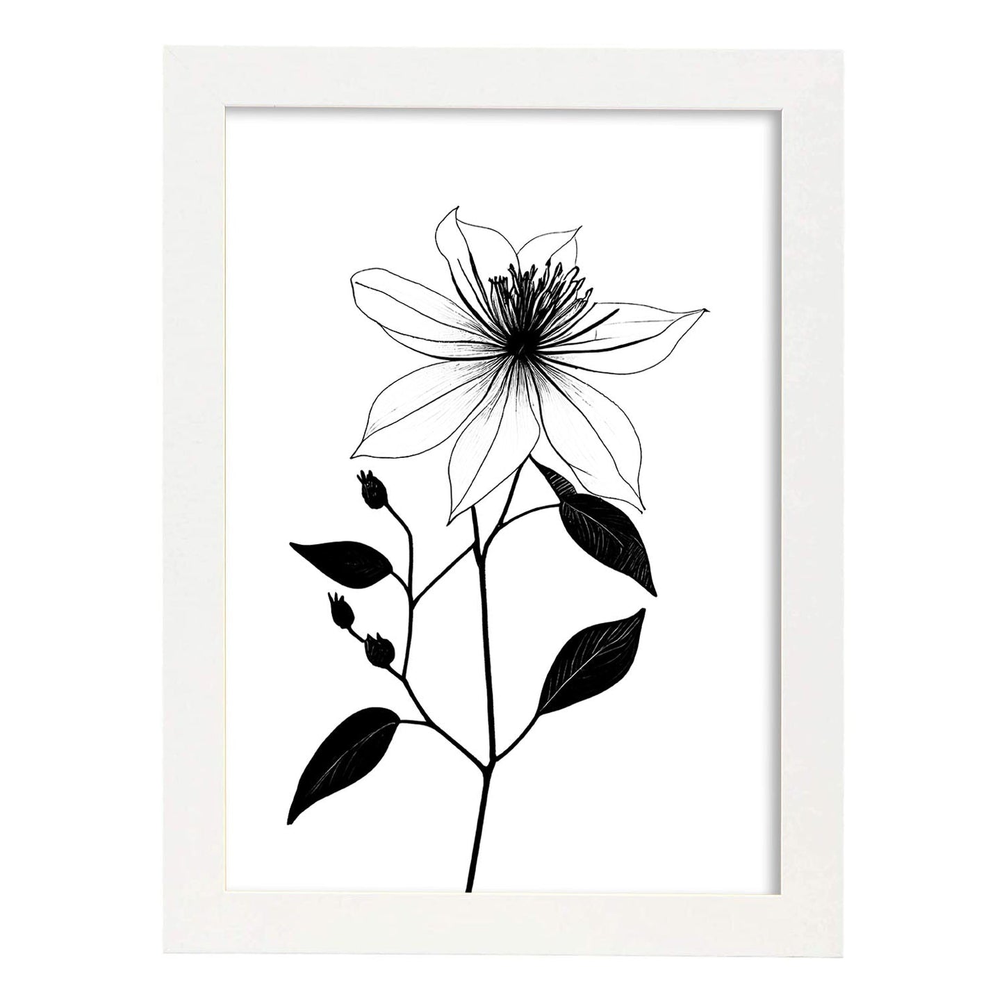 Nacnic Clematis Minimalist Line Art_3. Aesthetic Wall Art Prints for Bedroom or Living Room Design.