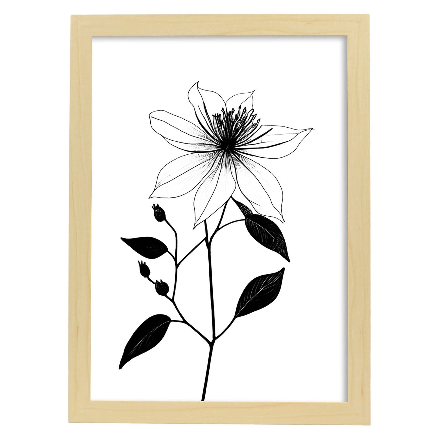 Nacnic Clematis Minimalist Line Art_3. Aesthetic Wall Art Prints for Bedroom or Living Room Design.