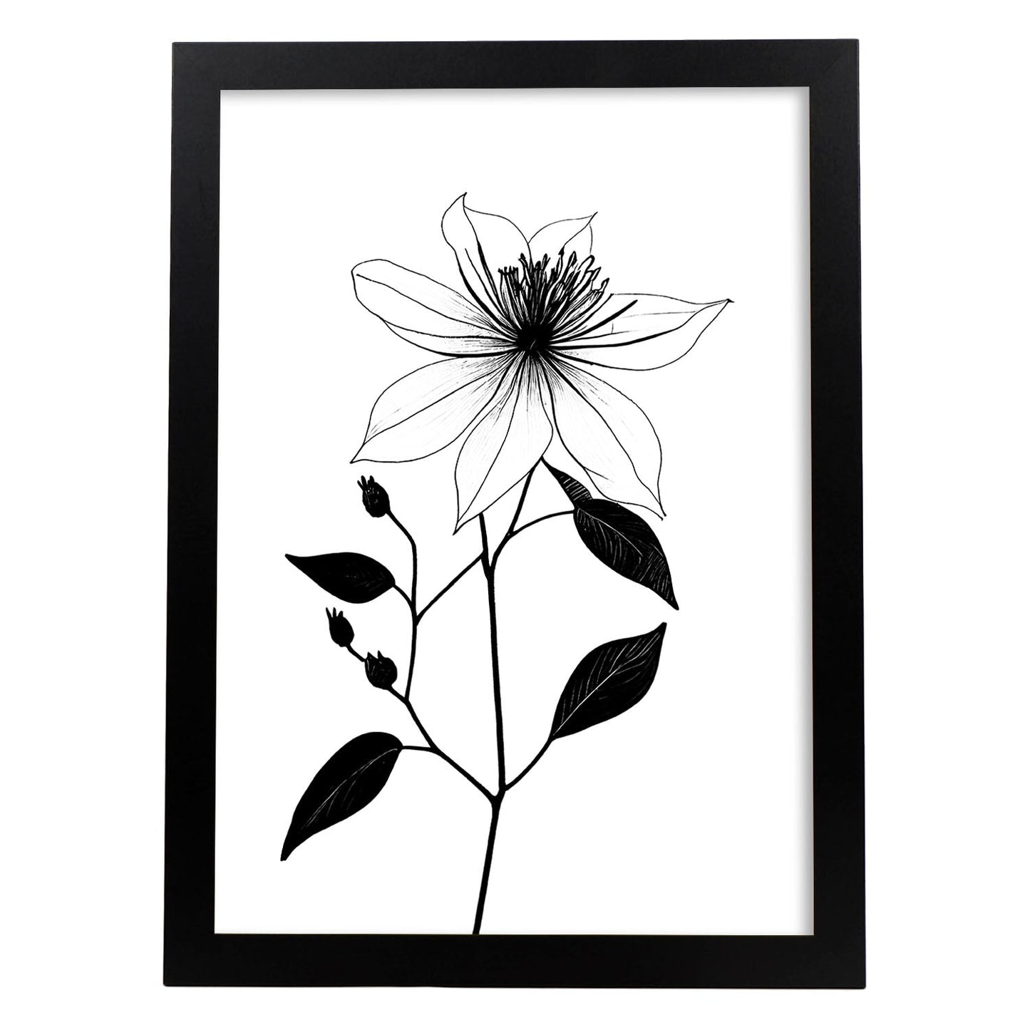 Nacnic Clematis Minimalist Line Art_3. Aesthetic Wall Art Prints for Bedroom or Living Room Design.