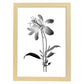 Lámina Nacnic Columbine Arte Minimalista Lineal