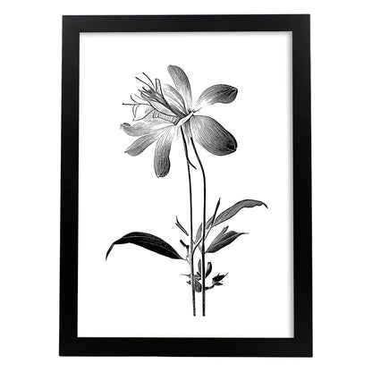 Lámina Nacnic Columbine Arte Minimalista Lineal