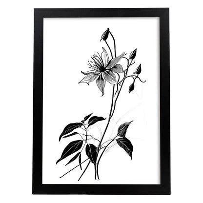 Lámina Nacnic de Arte Minimalista con Línea de Columbine