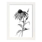 Lámina Minimalista de Nacnic con Arte de Líneas de Coneflower