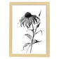 Lámina Minimalista de Nacnic con Arte de Líneas de Coneflower