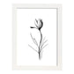 Laminas Nacnic Minimalista de Crocus