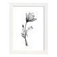 Láminas Nacnic Crocus Arte Minimalista Lineal