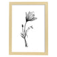 Láminas Nacnic Crocus Arte Minimalista Lineal
