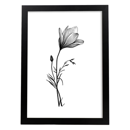 Láminas Nacnic Crocus Arte Minimalista Lineal