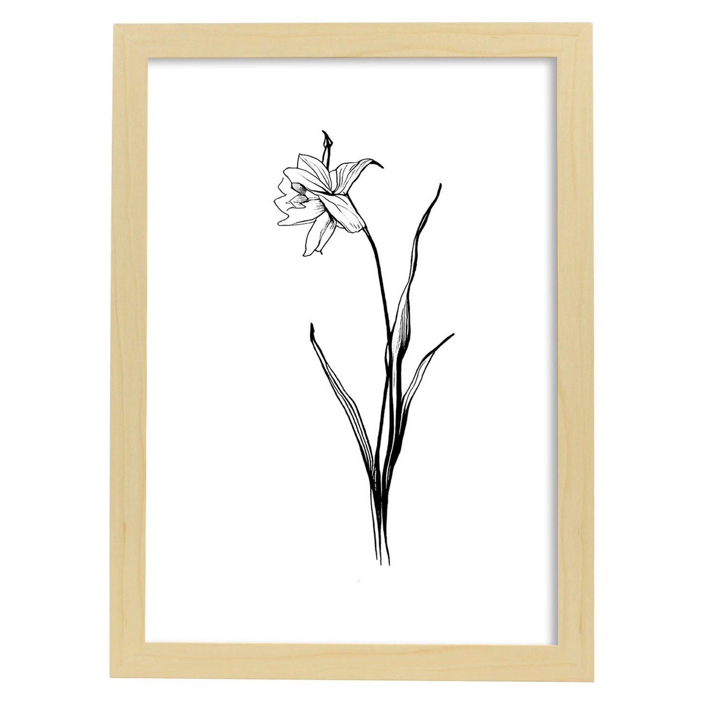 Lámina Nacnic Daffodil Arte Minimalista Lineal