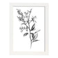 Láminas Nacnic Forsythia Arte Minimalista Líneas