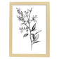 Láminas Nacnic Forsythia Arte Minimalista Líneas