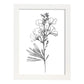 Laminas Nacnic de Arte Minimalista Freesia