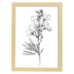 Laminas Nacnic de Arte Minimalista Freesia