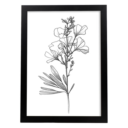 Laminas Nacnic de Arte Minimalista Freesia