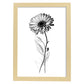 Nacnic Láminas de Arte Minimalista Gerbera_2