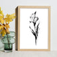Lámina Nacnic de Gladiolus en Arte Minimalista