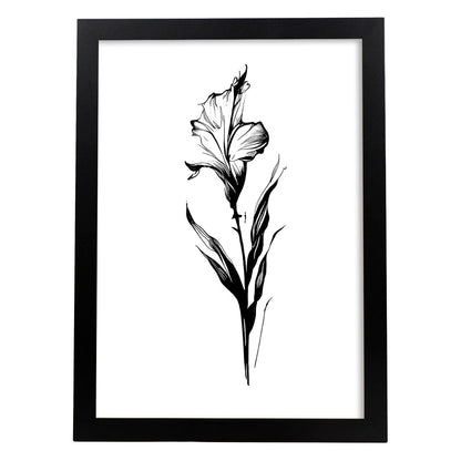 Lámina Nacnic de Gladiolus en Arte Minimalista