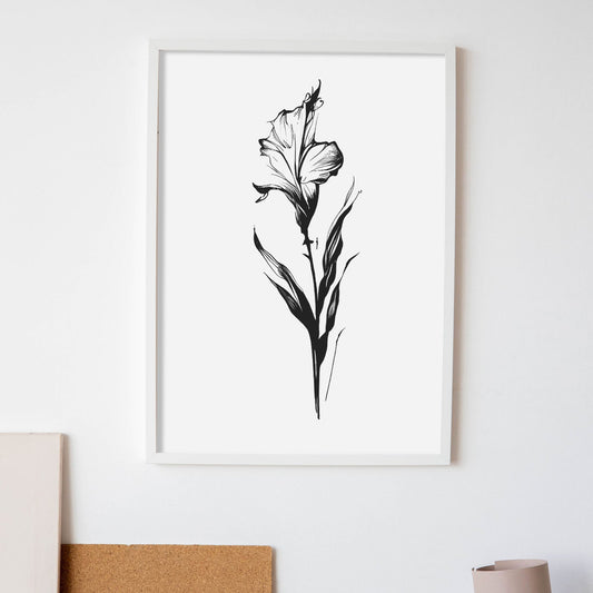 Lámina Nacnic de Gladiolus en Arte Minimalista