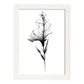 Lámina Nacnic Gladiolus Arte Minimalista en Línea_3