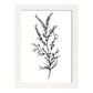 Nacnic Lámina Minimalista de Arte Líneo Heather_3