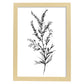 Nacnic Lámina Minimalista de Arte Líneo Heather_3