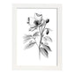 Nacnic Laminas Minimalistas de Hellebore en Arte Lineal