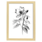 Nacnic Laminas Minimalistas de Hellebore en Arte Lineal