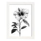 Lámina Nacnic Minimalista de Hibisco en Linea_2