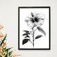 Lámina Nacnic Minimalista de Hibisco en Linea_2