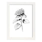 Lámina Minimalista de Hortensia Nacnic