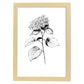 Lámina Minimalista de Hortensia Nacnic