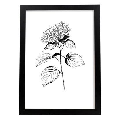 Lámina Minimalista de Hortensia Nacnic