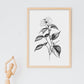 Nacnic Impatiens Arte Minimalista Lineal - Lámina