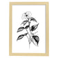 Nacnic Impatiens Arte Minimalista Lineal - Lámina