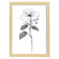 Lámina Nacnic Impatiens Arte Minimalista Lineal_2