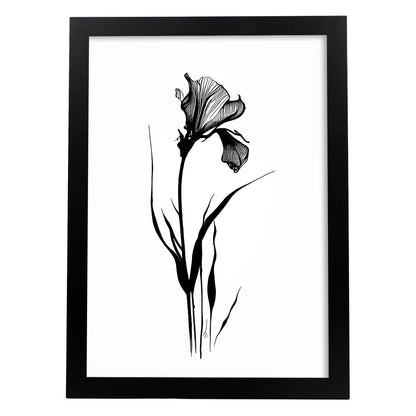 Lámina Minimalista de Iris Nacnic
