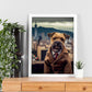 Nacnic Lámina Border Terrier Tolerante en estilo Fotografía a todo color. Divertidas ilustraciones realistas de animales con ropa humana. Diseño y Decoración de Interiores.-Artwork-Nacnic-Nacnic Estudio SL