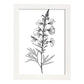 Laminas Nacnic Larkspur Arte Minimalista Lineal