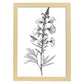 Laminas Nacnic Larkspur Arte Minimalista Lineal