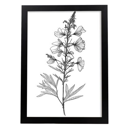 Laminas Nacnic Larkspur Arte Minimalista Lineal