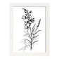 Láminas Minimalistas de Nacnic con Arte Lineal de Larkspur