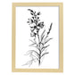 Láminas Minimalistas de Nacnic con Arte Lineal de Larkspur