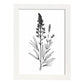 Laminas Minimalistas de Lavanda Nacnic