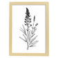 Laminas Minimalistas de Lavanda Nacnic