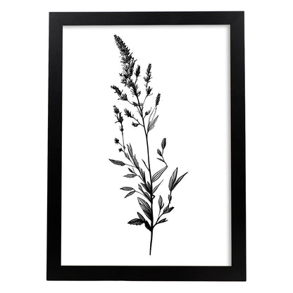 Lámina Nacnic de Lavanda Arte Minimalista