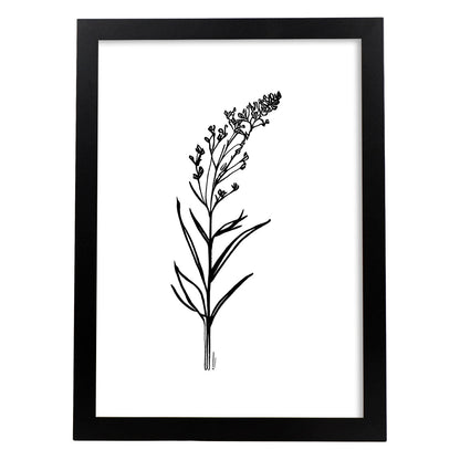 Lámina Nacnic Minimalista de Lavanda