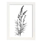 Láminas Minimalistas de Lavanda Nacnic