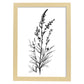 Láminas Minimalistas de Lavanda Nacnic
