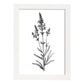 Láminas Minimalistas de Lavanda Nacnic