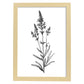 Láminas Minimalistas de Lavanda Nacnic